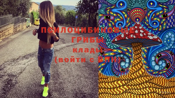 гидра Аша