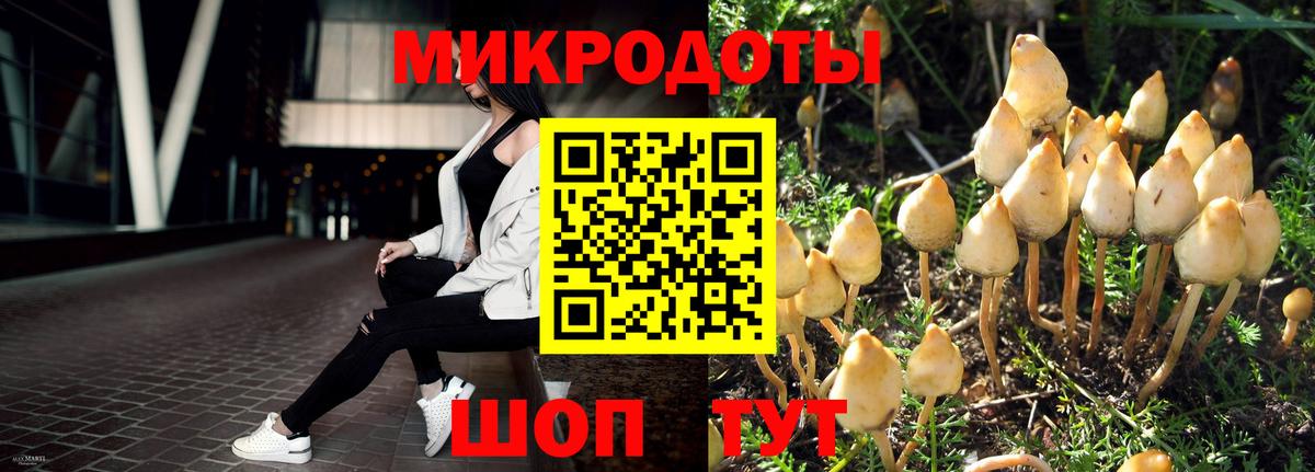 купить закладку  Наро-Фоминск  Галлюциногенные грибы MAGIC MUSHROOMS  Псилоцибиновые грибы MAGIC MUSHROOMS 