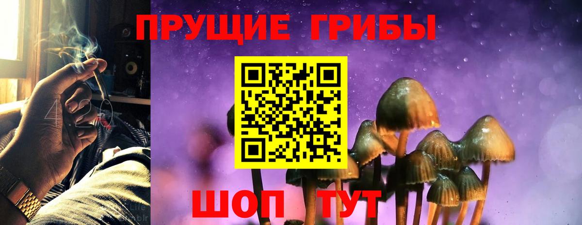Галлюциногенные грибы Psilocybine cubensis Наро-Фоминск